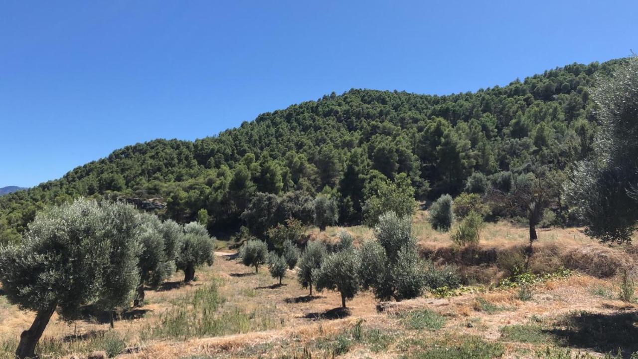 Masia Mas De La Creu Вальдерробрес Экстерьер фото